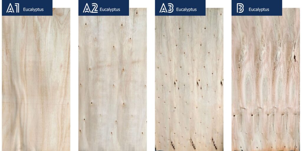 Phẩm cấp ván Bóc bạch đàn