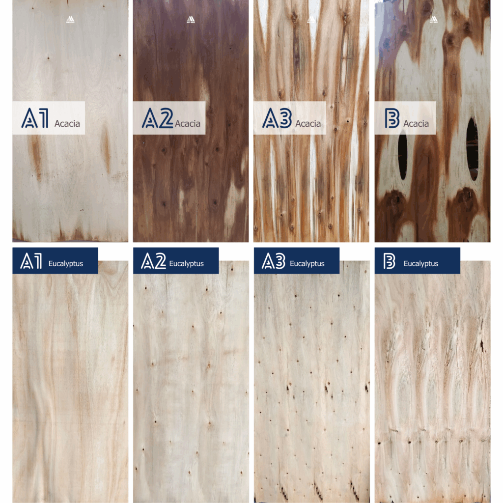 Phẩm cấp ván keo và bạch đàn