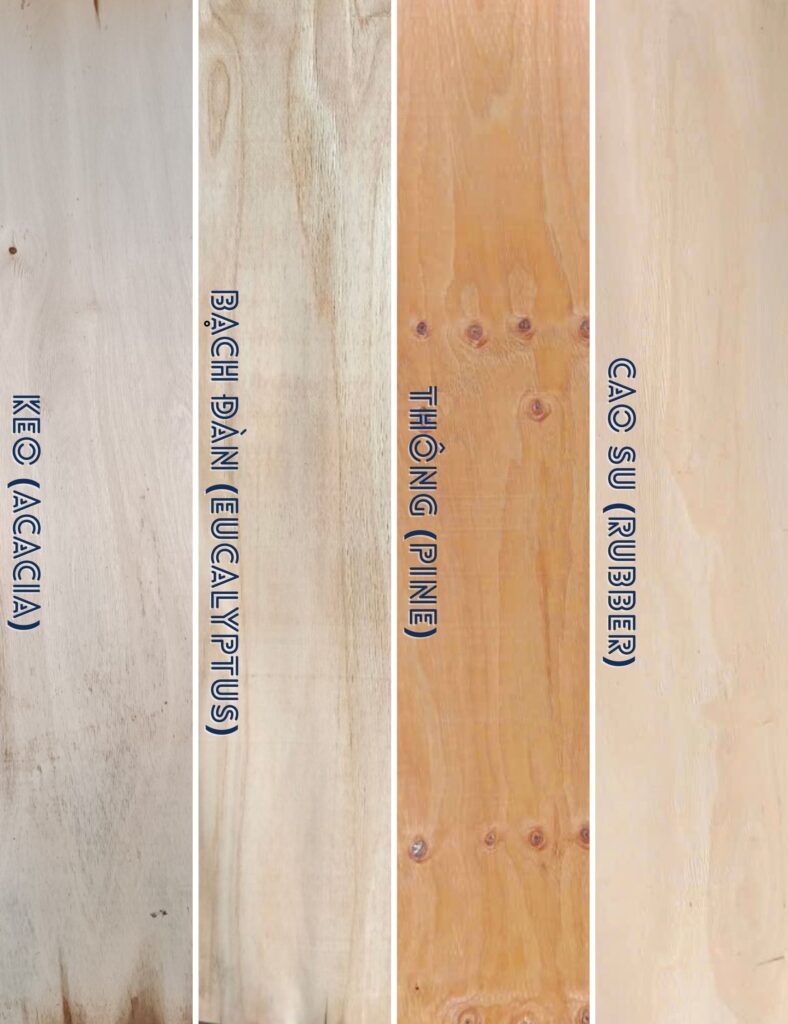 Phân loại ván bóc theo loại gỗ