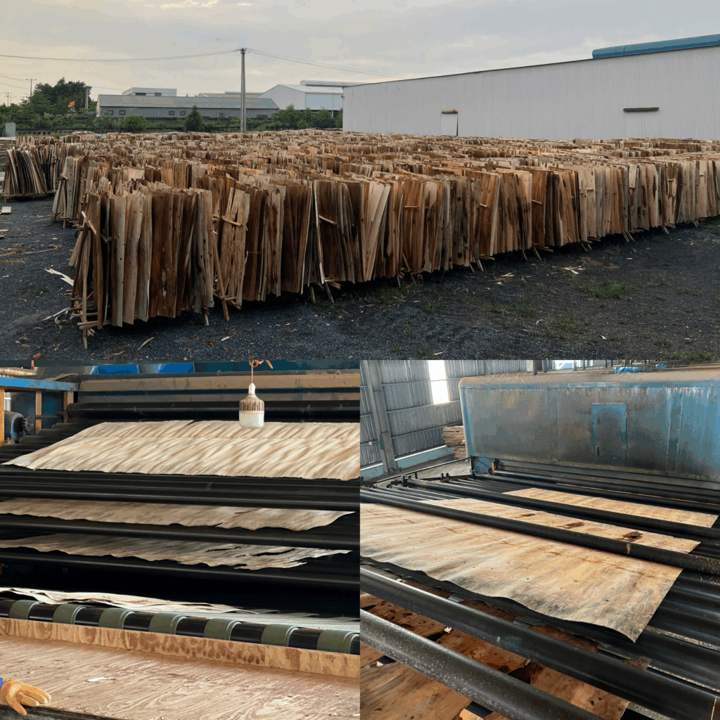 Phơi và sấy ván