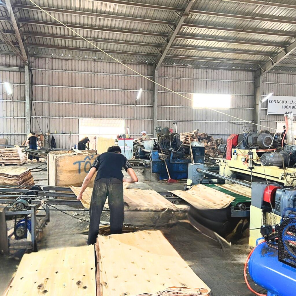 Truyền bóc và phân loại ván