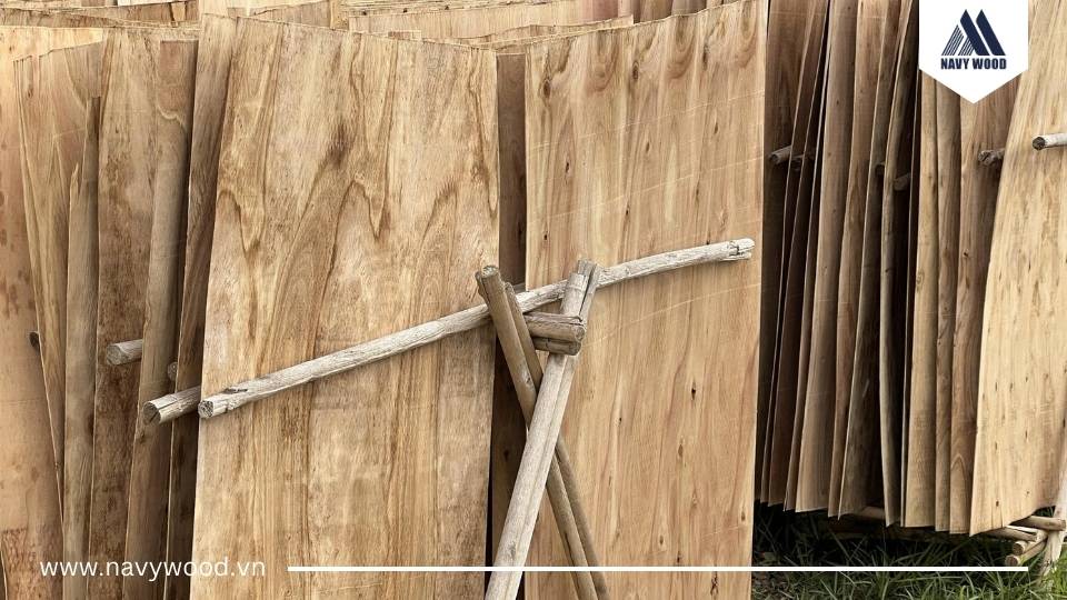 Ván bóc bạch đàn