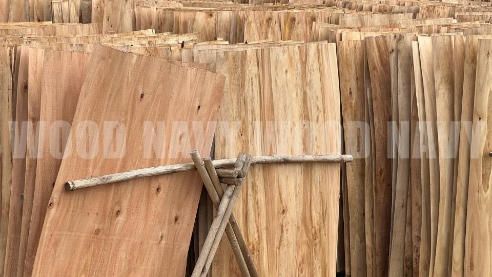 Tất tần tật thông tin về ván lạng cần biết trước khi mua