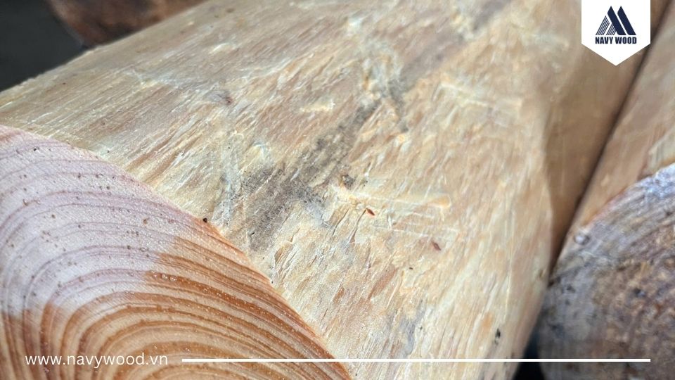 Xử lý nguyên liệu gỗ 