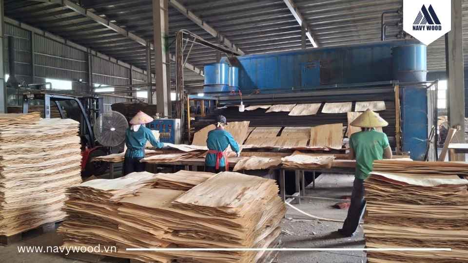 Sấy ván bóc sao khi lạng