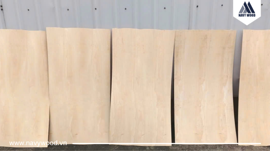 Ván bóc gỗ thông