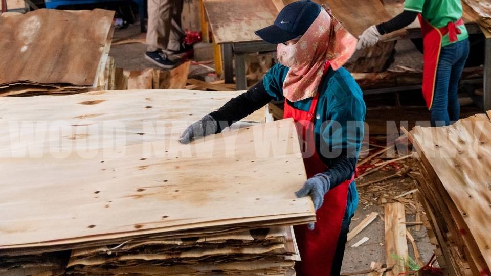Tổng hợp các phương pháp lạng gỗ ván bóc từ gỗ tự nhiên