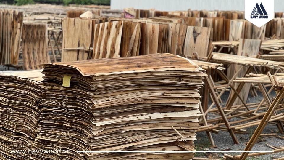 Giới thiệu về gỗ ván bóc