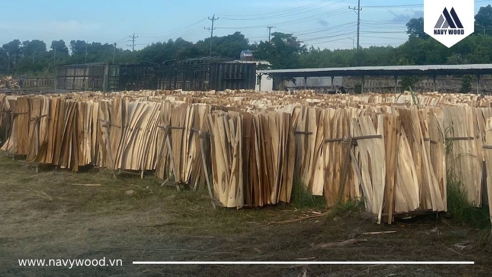 Các quốc gia nhập khẩu ván bóc lớn hiện nay 
