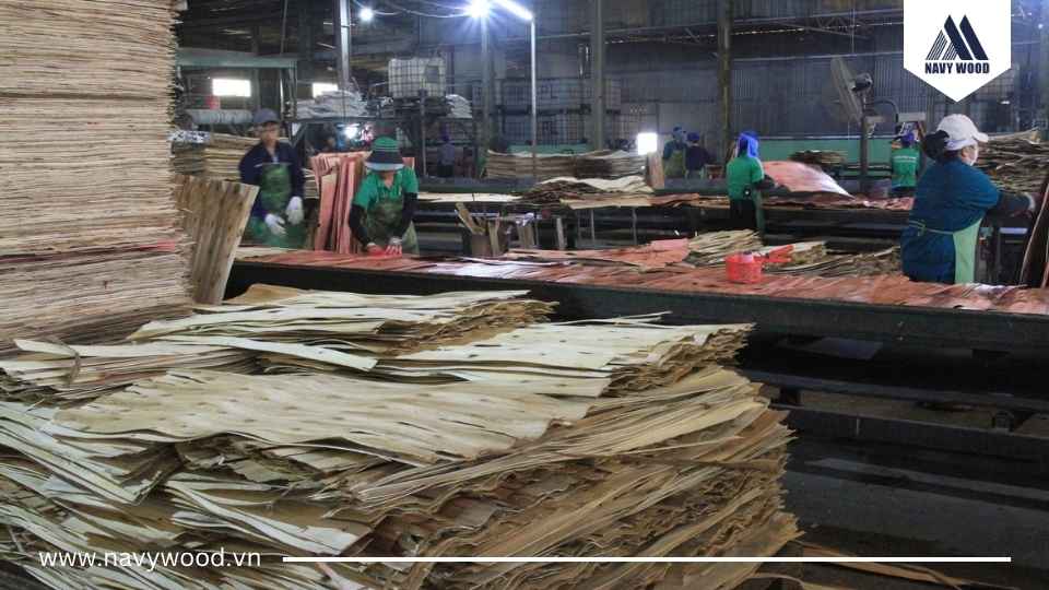 Bước 4. Sấy ván tiêu chuẩn