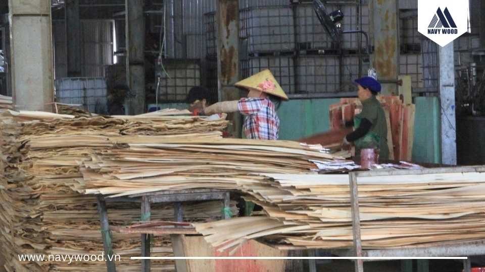 Bước 5. Phân loại bề mặt