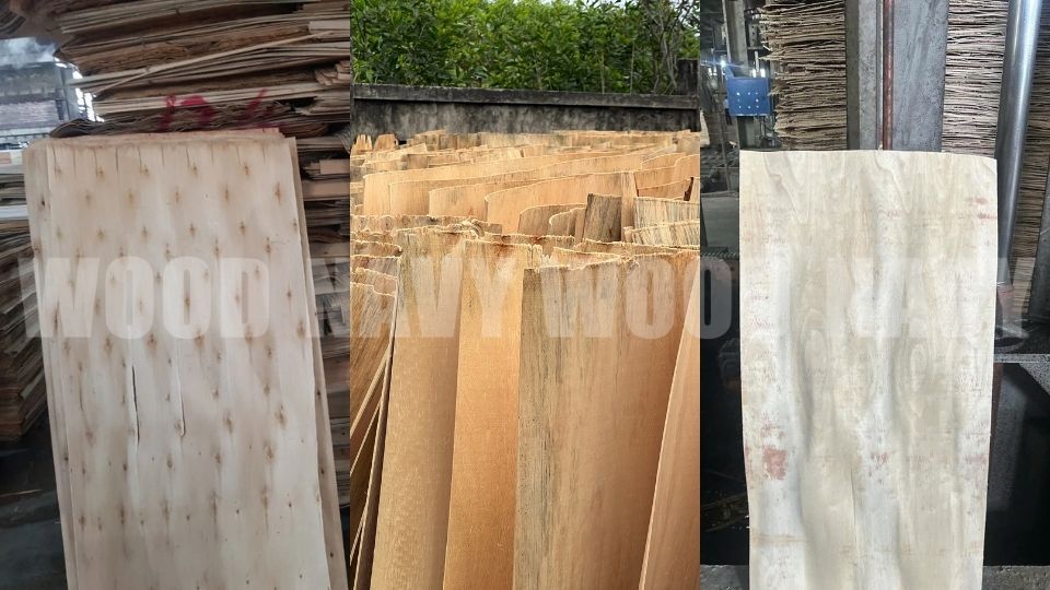Top 3 loại gỗ ván bóc phổ biến tại Việt Nam