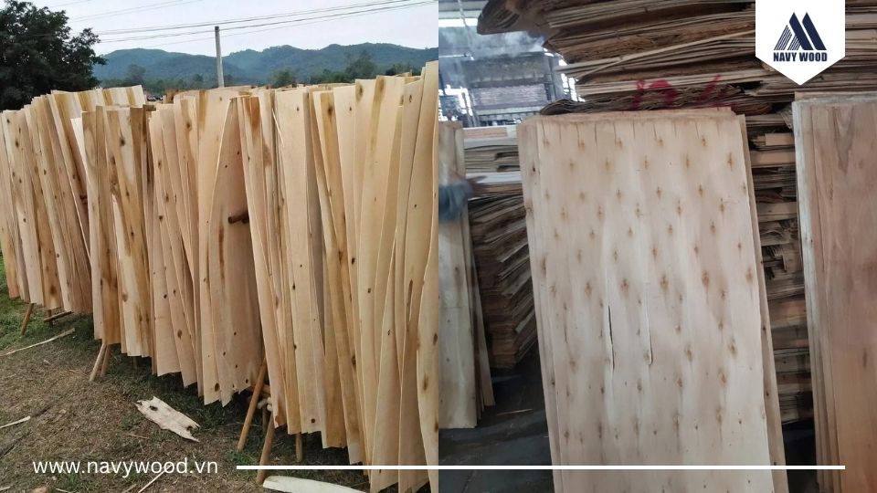 Ván bóc gỗ keo