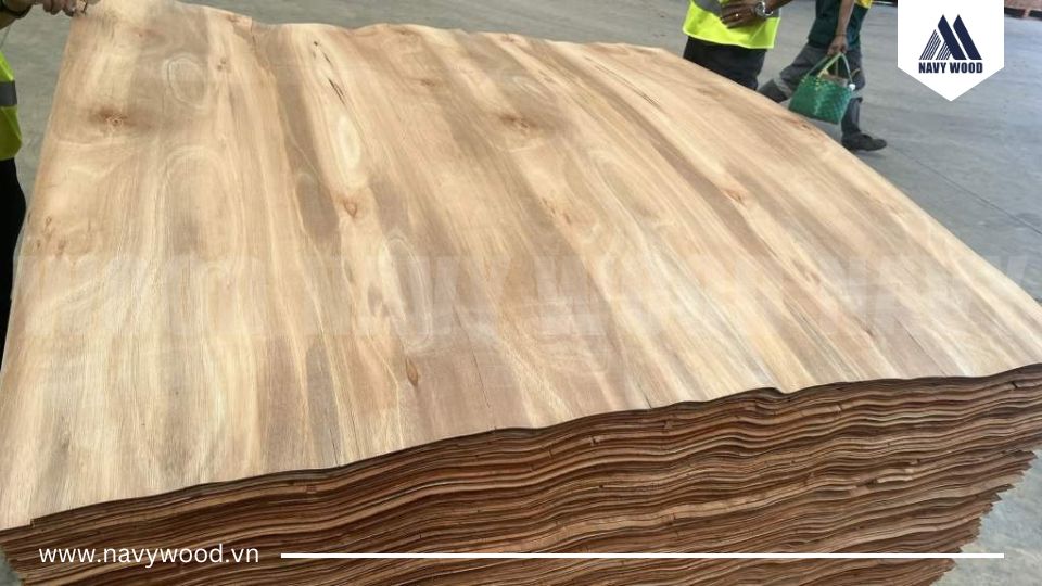 Tiêu chuẩn kỹ thuật ván bóc bạch đàn trong sản xuất ván ép plywood