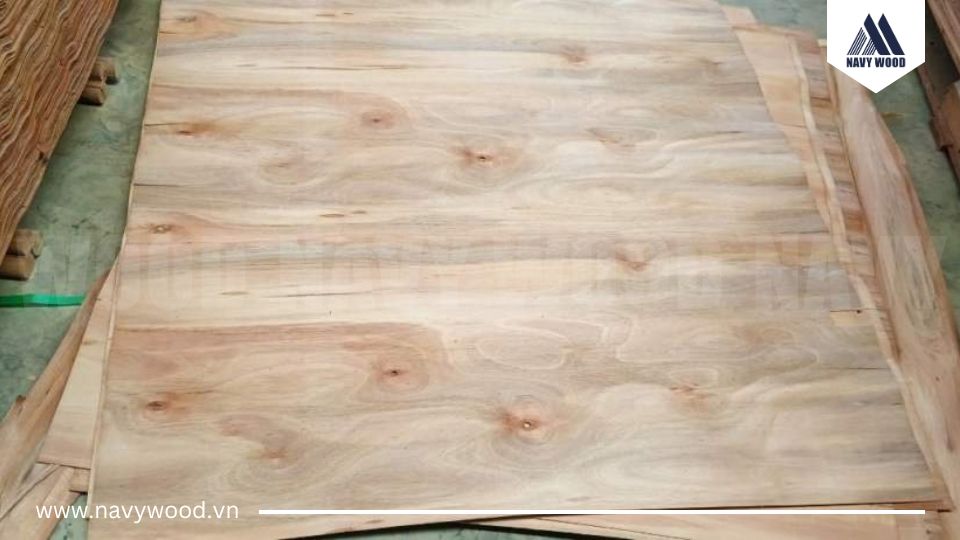 Bảng giá ván bóc bạch đàn mới nhất