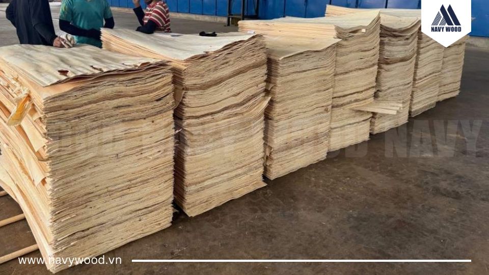 Quy trình sản xuất ván bóc bạch đàn