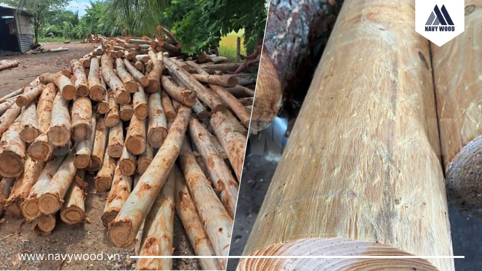 Bước 2: Xử lý nguyên liệu đầu vào