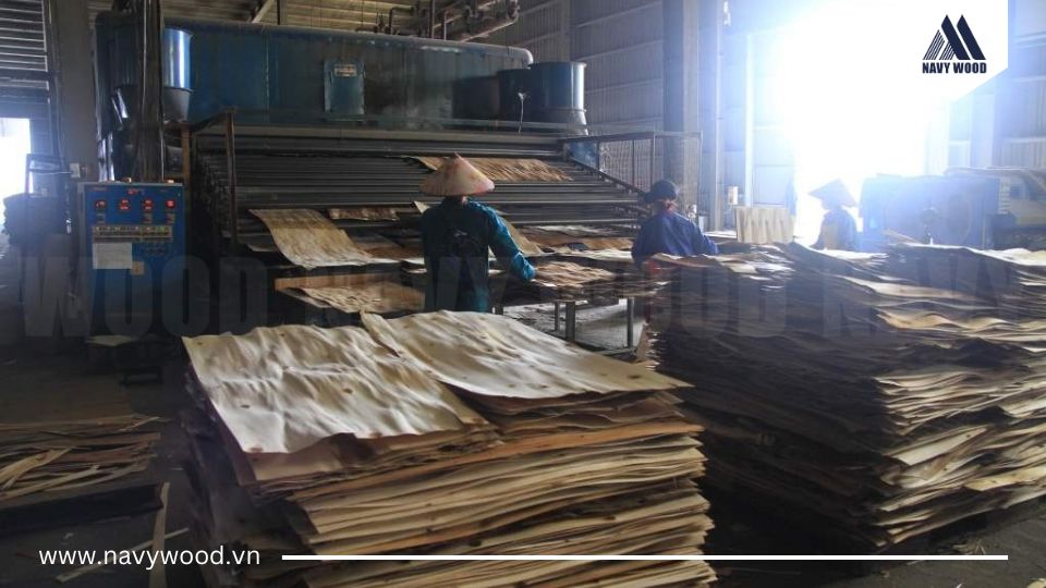Bước 4: Sấy khô/phơi ván